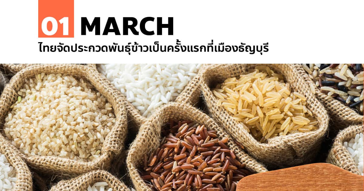 1 มีนาคม ไทยจัดประกวดพันธุ์ข้าวเป็นครั้งแรกที่เมืองธัญบุรี