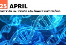 25 เมษายน เจมส์ วัตสัน และ ฟรานซิส คริก ค้นพบโครงสร้างดีเอ็นเอ