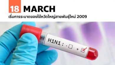 18 มีนาคม เริ่มการระบาดของไข้หวัดใหญ่สายพันธุ์ใหม่ 2009