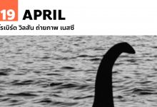 19 เมษายน โรเบิร์ต วิลสัน ถ่ายภาพ เนสซี