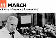 11 มีนาคม อเล็กซานเดอร์ เฟลมมิง ผู้ค้นพบ เพนิซิลิน