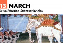 13 มีนาคม กำหนดให้ช้างเผือก เป็นสัตว์ประจำชาติไทย