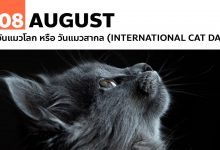 8 สิงหาคม วันแมวโลก หรือ วันแมวสากล (International Cat Day)