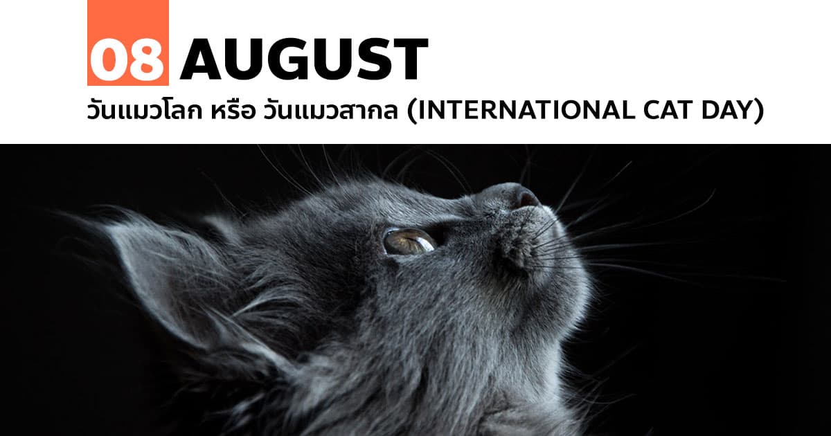8 สิงหาคม วันแมวโลก หรือ วันแมวสากล (International Cat Day)