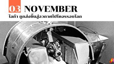 3 พฤศจิกายน ไลก้า ถูกส่งขึ้นสู่อวกาศไปโคจรรอบโลก