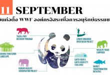 11 กันยายน วันก่อตั้ง WWF องค์กรอิสระเพื่อการอนุรักษ์ธรรมชาติ