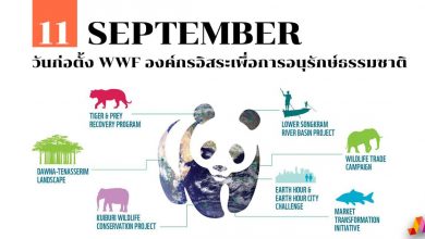 11 กันยายน วันก่อตั้ง WWF องค์กรอิสระเพื่อการอนุรักษ์ธรรมชาติ