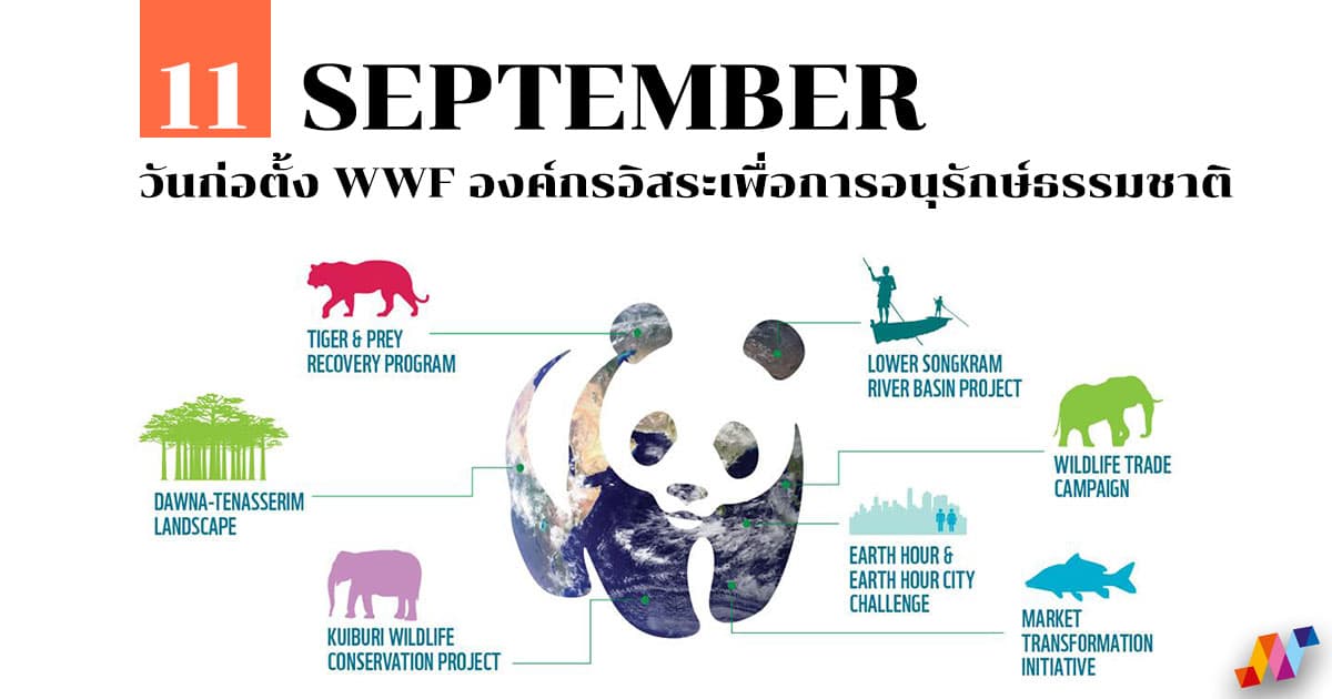 11 กันยายน วันก่อตั้ง WWF องค์กรอิสระเพื่อการอนุรักษ์ธรรมชาติ #1 11 กันยายน วันก่อตั้ง WWF องค์กรอิสระเพื่อการอนุรักษ์ธรรมชาติ