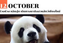12 ตุลาคม ช่วงช่วง หลินฮุ่ย เดินทางมาถึงสวนสัตว์เชียงใหม่