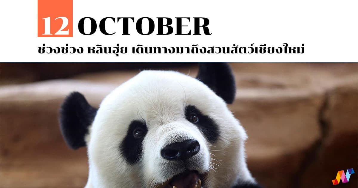 12 ตุลาคม ช่วงช่วง หลินฮุ่ย เดินทางมาถึงสวนสัตว์เชียงใหม่
