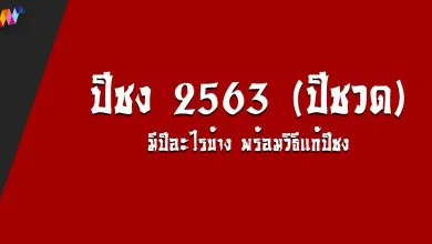 ปีชง 2563 (ปีชวด) มีปีอะไรบ้าง พร้อมวิธีแก้ปีชง