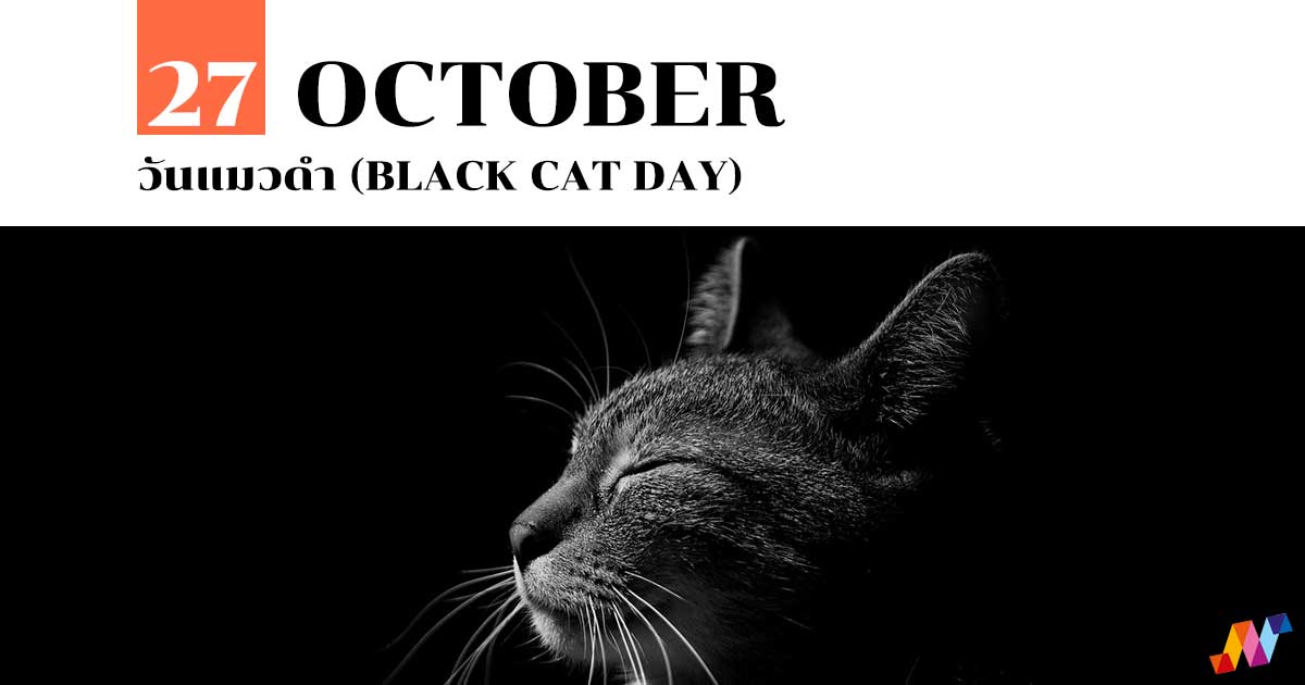 27 ตุลาคม วันแมวดำ (Black Cat Day)