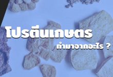 โปรตีนเกษตร หรือ เนื้อเทียม ทำมาจากอะไร ?