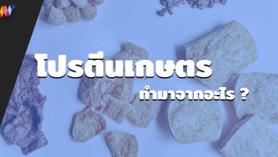 โปรตีนเกษตร หรือ เนื้อเทียม ทำมาจากอะไร ?