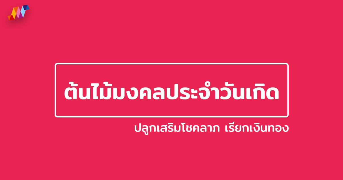 ต้นไม้มงคลประจําวันเกิด ปลูกเสริมโชคลาภ เรียกเงินทอง - NaniTalk ต้นไม้มงคลประจําวันเกิด ปลูกเสริมโชคลาภ เรียกเงินทอง - Nanitalk
