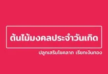 ต้นไม้มงคลประจําวันเกิด ปลูกเสริมโชคลาภ เรียกเงินทอง