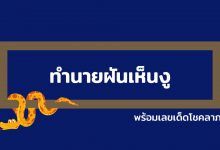 ฝันเห็นงู ฝันเห็นงูใหญ่ ฝันเห็นงูหลายตัว พร้อมเลขเด็ด