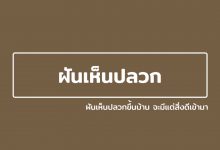 ฝันเห็นปลวก ฝันเห็นปลวกขึ้นบ้าน จะมีแต่สิ่งดีเข้ามา