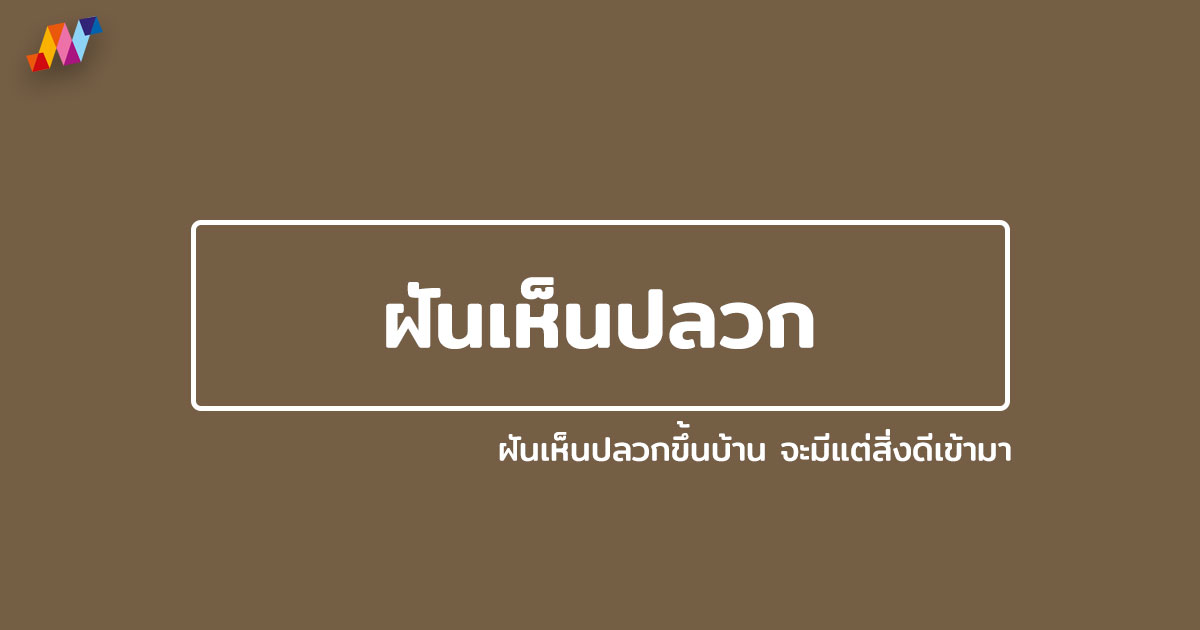 ฝันเห็นปลวก ฝันเห็นปลวกขึ้นบ้าน จะมีแต่สิ่งดีเข้ามา