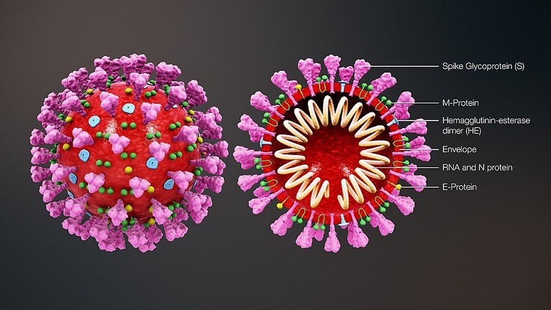 ไวรัสโคโรน่ารักษาได้ไหม