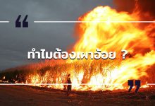 ทำไมต้องเผาอ้อย ? เรื่องราวของการเผาอ้อยกับ PM 2.5