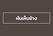 ฝันเห็นช้าง ฝันเห็นช้างน้อย ฝันเห็นช้างเผือก หมายถึง ?