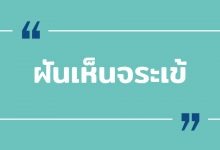 ฝันเห็นจระเข้ ฝันเห็นจระเข้ตัวใหญ่ หมายถึงอะไร ?