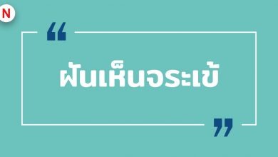 ฝันเห็นจระเข้ ฝันเห็นจระเข้ตัวใหญ่ หมายถึงอะไร ?