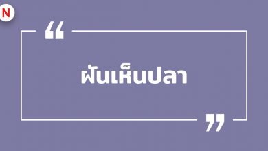 ฝันเห็นปลา ฝันเห็นปลาตัวใหญ่ ฝันว่าได้จับปลา พร้อมเลขเด็ด