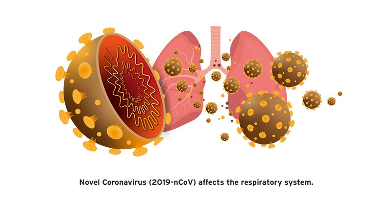 ไวรัสโคโรน่า (Coronavirus)
