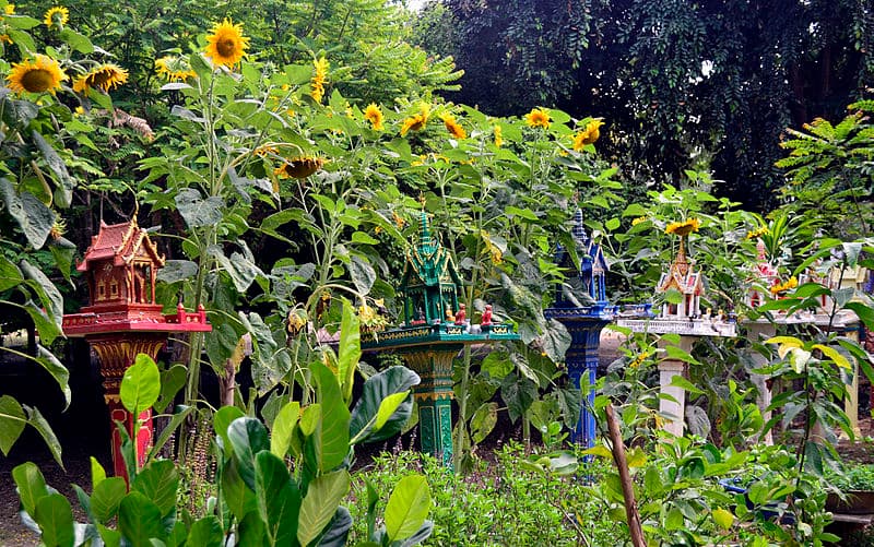 ศาลพระภูมิสีอะไรดี