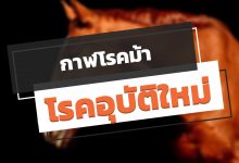 โรคกาฬโรคแอฟริกาในม้า หรือ กาฬโรคม้า (AHS)