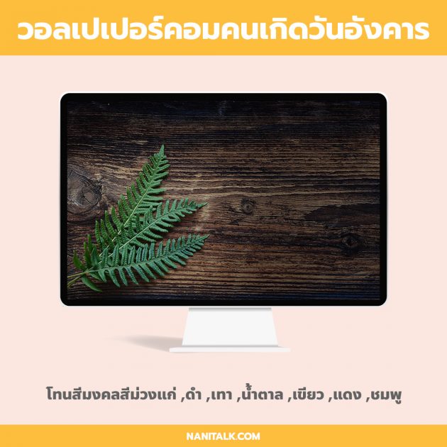 My Image 10