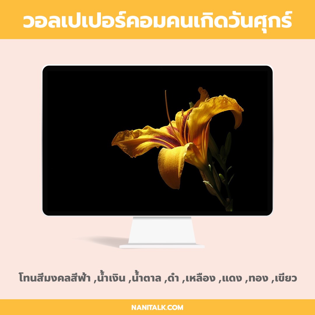 วอลเปเปอร์คอมเสริมดวงคนเกิดวันศุกร์