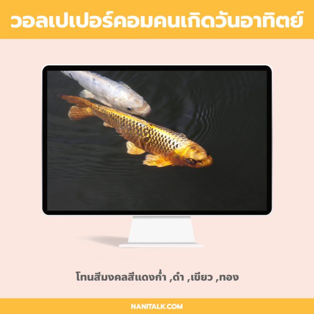 My Image 16
