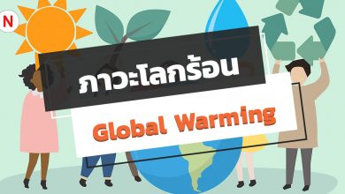 Global-warmingมารู้จักภาวะโลกร้อน (Global Warming) และวิธีลดโลกร้อน