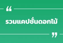 รวมแคปชั่นดอกไม้ แคปชั่นดอกไม้บาน รวมแคปชั่นโดน ๆ