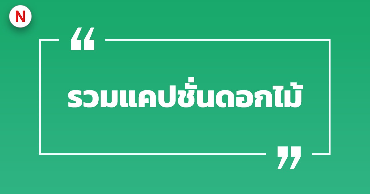 100 แคปชั่นดอกไม้ แคปชั่นดอกไม้บาน เรียกไลก์เพียบ! ปี 2023 100 แคปชั่นดอกไม้ แคปชั่นดอกไม้บาน เรียกไลก์เพียบ! ปี 2023