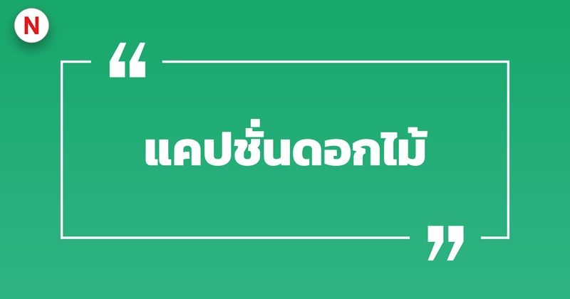100 แคปชั่นดอกไม้ แคปชั่นดอกไม้บาน เรียกไลก์เพียบ! 2 แคปชั่นดอกไม้