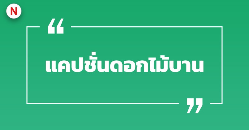 100 แคปชั่นดอกไม้ แคปชั่นดอกไม้บาน เรียกไลก์เพียบ! ปี 2023 100 แคปชั่นดอกไม้ แคปชั่นดอกไม้บาน เรียกไลก์เพียบ! ปี 2023
