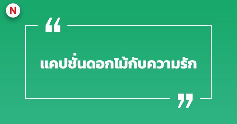 100 แคปชั่นดอกไม้ แคปชั่นดอกไม้บาน เรียกไลก์เพียบ! 4 แคปชั่นดอกไม้กับความรัก