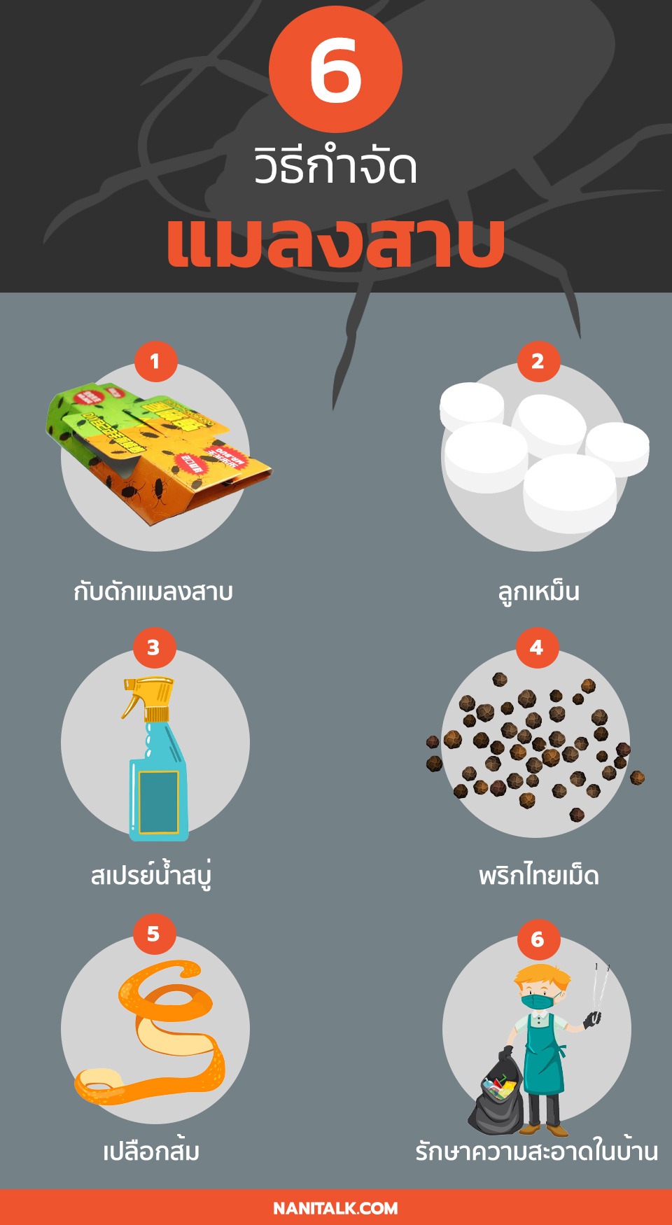 6 วิธีกําจัดแมลงสาบตัวเล็ก ตัวน้อย ภายในบ้านให้ไปหมดจด