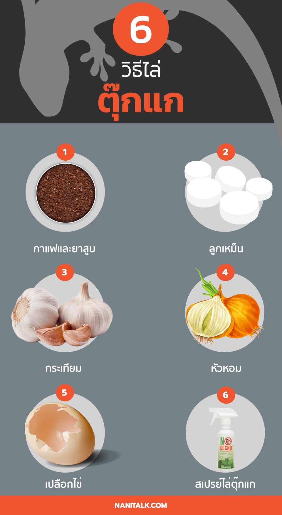 6 วิธีไล่ตุ๊กแก