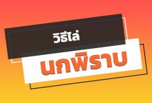 วิธีไล่นกพิราบที่ดีที่สุด!
