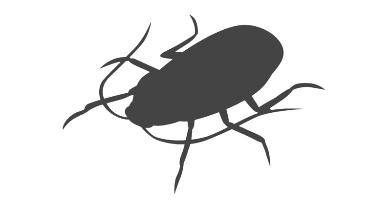 สิ่งที่ควรรู้เกี่ยวกับแมลงสาบ