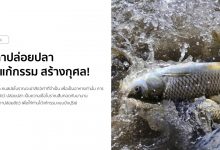 คาถาปล่อยปลา ปล่อยเต่า เพื่อแก้กรรม สร้างกุศล!