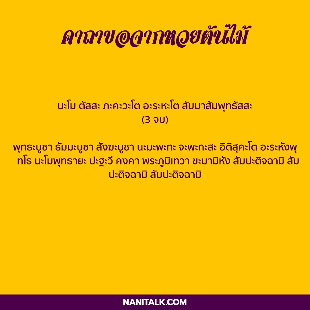 รวมสุดยอด คาถาขอหวย คาถาถูกหวย ขอเลขเด็ดแบบปังปัง! 4 คาถาขอจากหวยต้นไม้