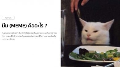 มีม (Meme) คืออะไร ?