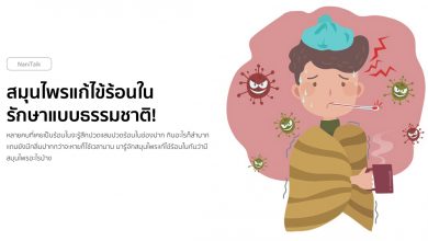 10 สมุนไพรแก้ไข้ร้อนใน รักษาแบบธรรมชาติ!