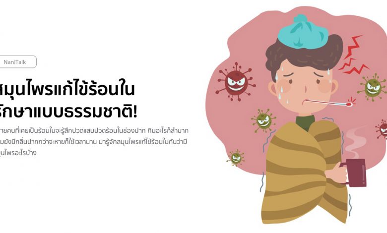 10 สมุนไพรแก้ไข้ร้อนใน รักษาแบบธรรมชาติ!